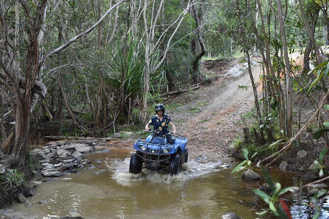 Horse and Quad bike tour with a visit to a Petting Zoo - An In-Depth Look at the Kur-Cow Farm Experience