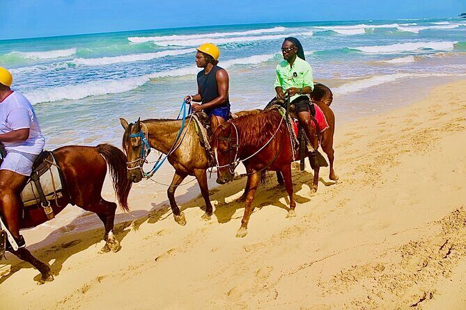 Horse Back Riding Adventure in Punta Cana - In-Depth Review of the Horseback Riding Tour