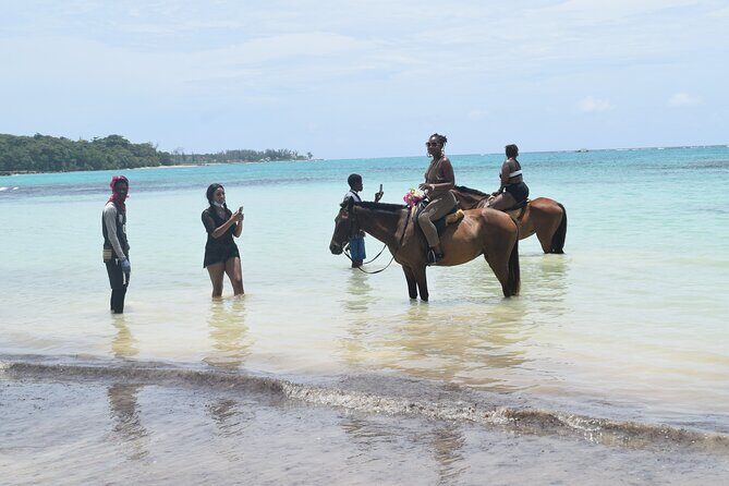 Horse Back Riding and Blue Hole From Montego Bay - A Deep Dive into the Montego Bay Horseback and Blue Hole Tour