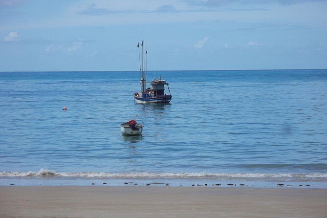 Horse back riding and Eco tourism food and fun. - Key Points