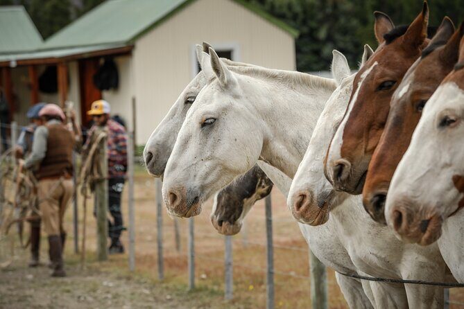 Horse Back Riding Expedition - Horse Back Riding Expedition: A Full-Day Patagonia Adventure