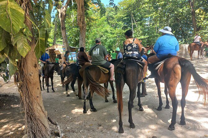 Horse Back Riding in Ocho Rios - Horse Back Riding in Ocho Rios: A Genuine Jamaican Adventure