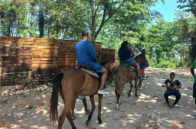 Horse Back Riding in Ocho Rios - Is This Tour Right for You?