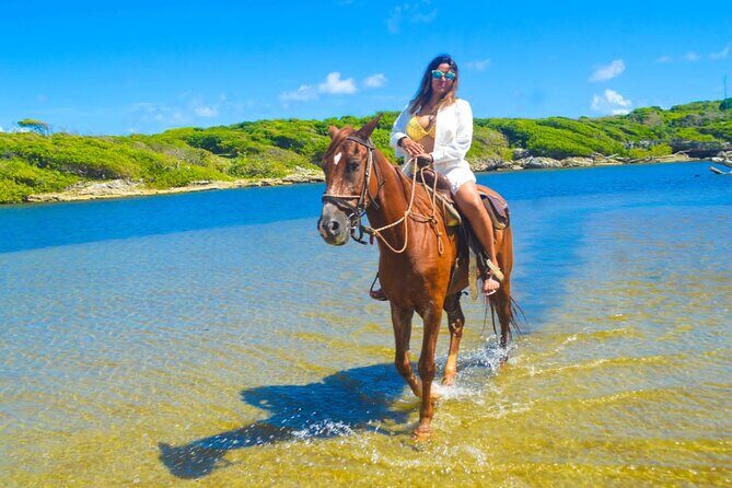 Horse back riding (Punta Cana/Bavaro) - Exploring the Details: What to Expect from the Tour