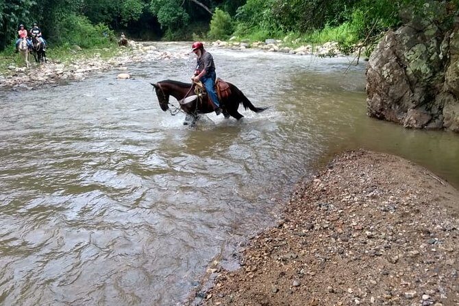 Horse Back Riding, Zipline and ATV Experience - Horse Back Riding, Zipline and ATV Experience in Puerto Vallarta: The Adventure You Never Knew You Needed