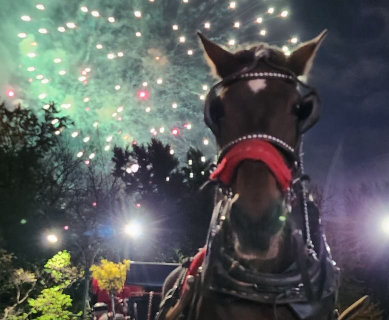 Horse Carriage Ride at Rockefeller Center & Times Square - The Experience in Detail