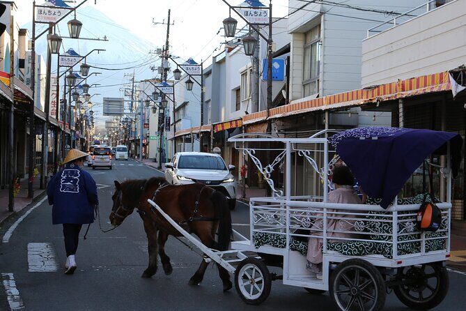 Horse Carriage Ride with Mt. Fuji Views - Who should consider this tour?