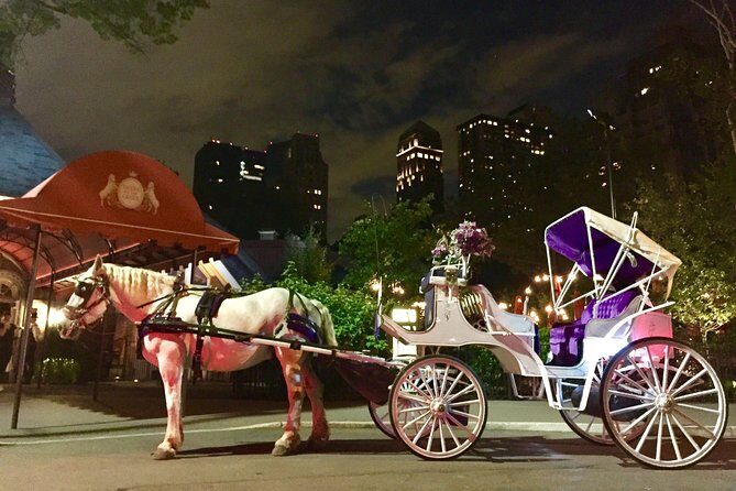 Horse Carriage Romantic Ride (VIP-Private) in Central Park 1964 - The Sum Up