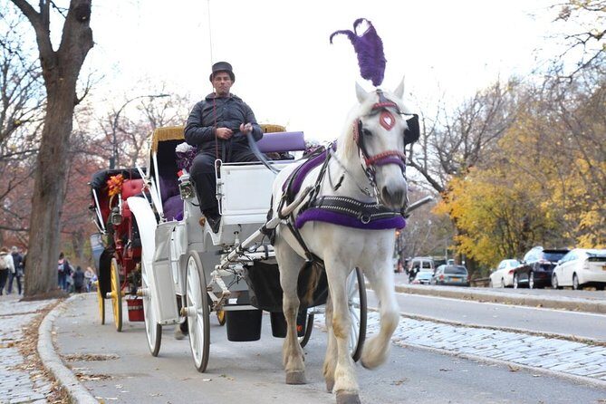 Horse Carriage Tour in New York City's Central Park Small Loop - Key Points