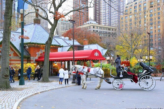 Horse Carriage Tour in New York City's Central Park Small Loop - Who Will Love This Tour?