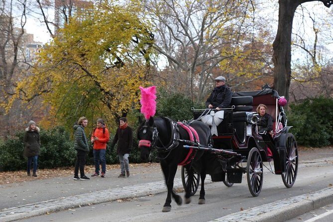 Horse Carriage Tour in New York City's Central Park Small Loop - Final Thoughts: Is This Tour Worth It?