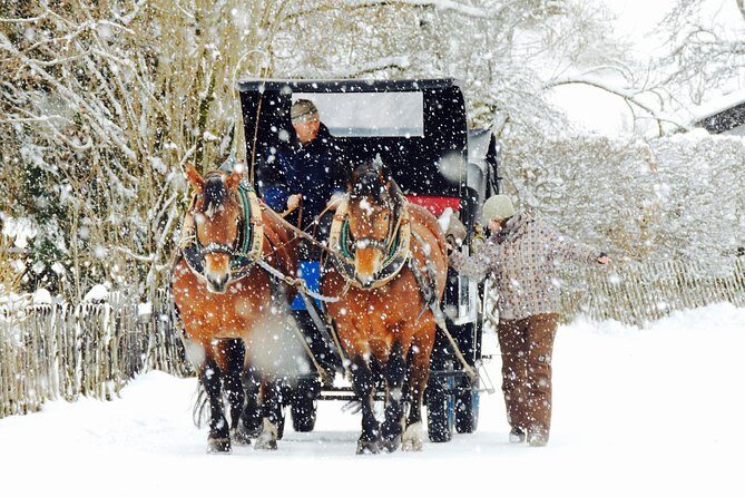 Horse Carriage Tour of Garmisch-Partenkirchen - Final Words