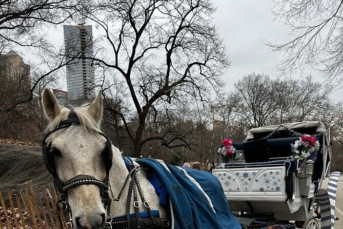 Horse Carriage Tour Through Central Park, NYC SINCE 1903 - Exploring Central Park on a Horse Carriage: A Classic NYC Experience