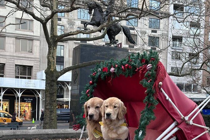 Horse Carriage Tour Through Central Park, NYC SINCE 1903 - Key Points