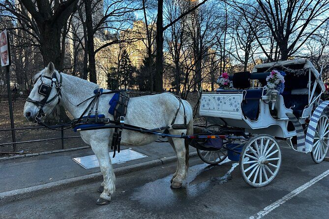 Horse Carriage Tour Through Central Park, NYC SINCE 1903 - The Sum Up