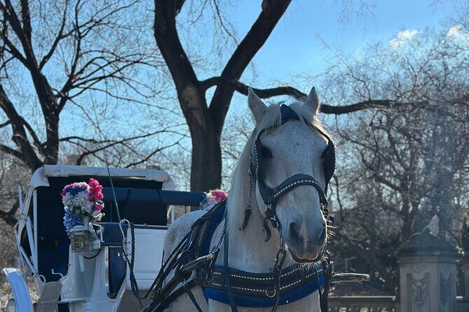 Horse Carriage Tour Through Central Park, NYC SINCE 1903 - FAQ
