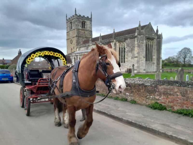 Horse drawn carriage ride and Picnic Hamper - Key Points