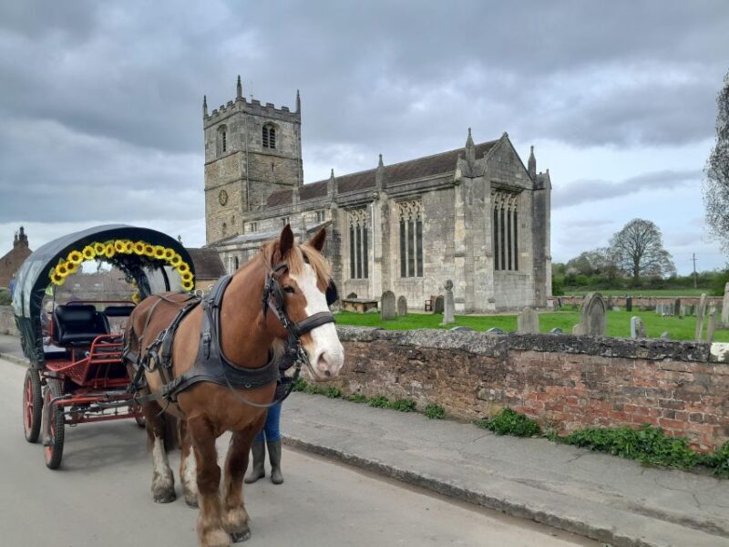 Horse drawn carriage ride and Picnic Hamper - Who Will Love This Experience?