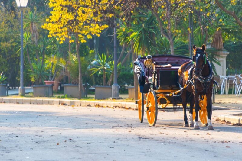 Horse-Drawn Carriage Ride Through Seville - A Unique Way to See Seville: Horse-Drawn Carriage Ride