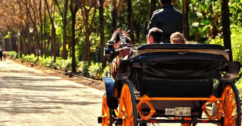 Horse-Drawn Carriage Ride Through Seville - Final Thoughts: Is It Worth It?