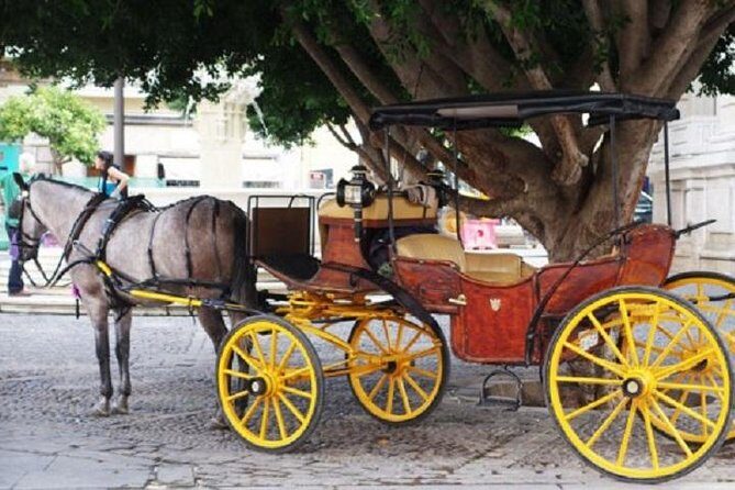 Horse-Drawn Carriage Ride through Seville - Who Will Love This Tour?