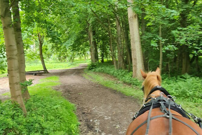 Horse drawn carriage ride york - FAQ