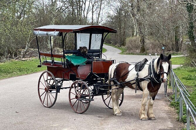 Horse-Drawn Carriage Tours in Killarney - FAQs