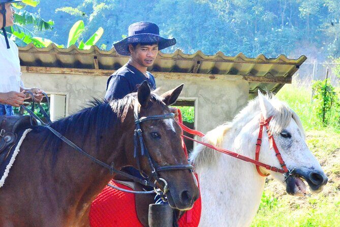 Horse Lesson+Riding+Wat Tonkwen wooden temple.Chiangmai - The Horseback Riding Experience