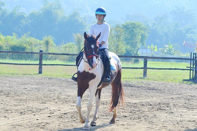 Horse Lesson+Riding+Wat Tonkwen wooden temple.Chiangmai - Who Will Love This Tour?