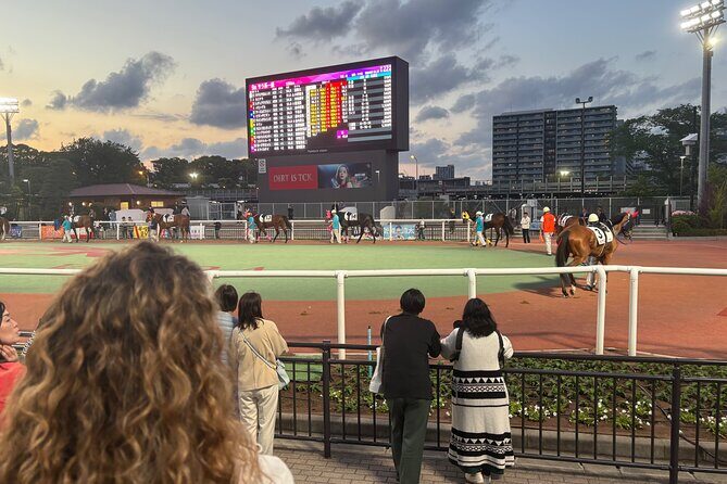 Horse Racing Tour with Local Fans in Tokyo, Oi Racecourse - An Authentic Horse Racing Night in Tokyo: Oi Racecourse Tour