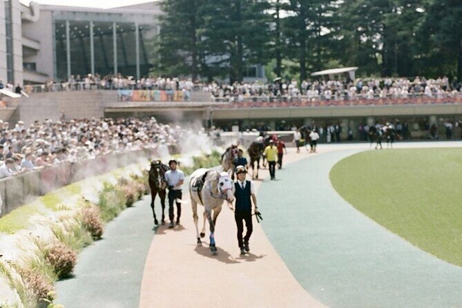 Horse Racing Tour with Local Fans in Tokyo, Oi Racecourse - Authenticity and Local Flavor