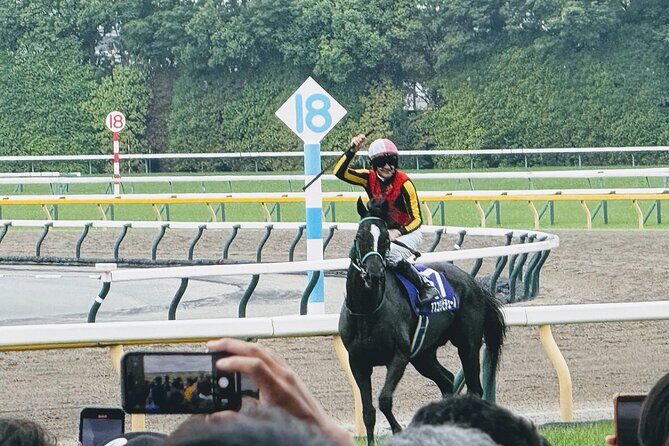 Horse Racing Tour with Local Fans in Tokyo, Oi Racecourse - Who Will Love This Tour?