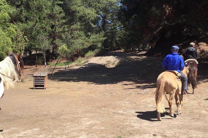 Horse Ride & BARBECUE on Ritoque Beach&Sand Dunes FROM VALPARAISO - An Authentic Coastal Adventure: Horse Ride & Barbecue on Ritoque Beach & Sand Dunes from Valparaíso