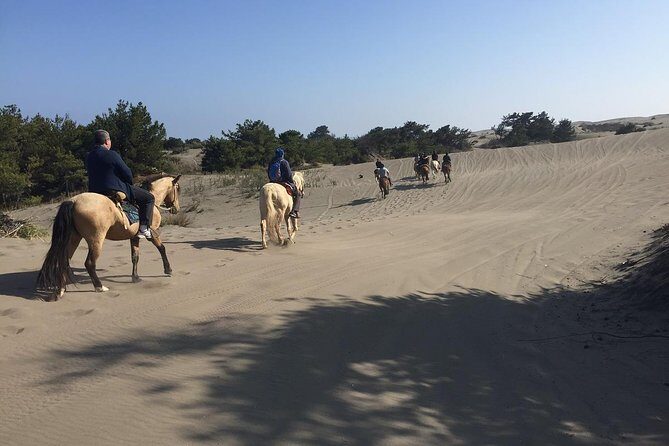 Horse Ride & BARBECUE on Ritoque Beach&Sand Dunes FROM VALPARAISO - Key Points
