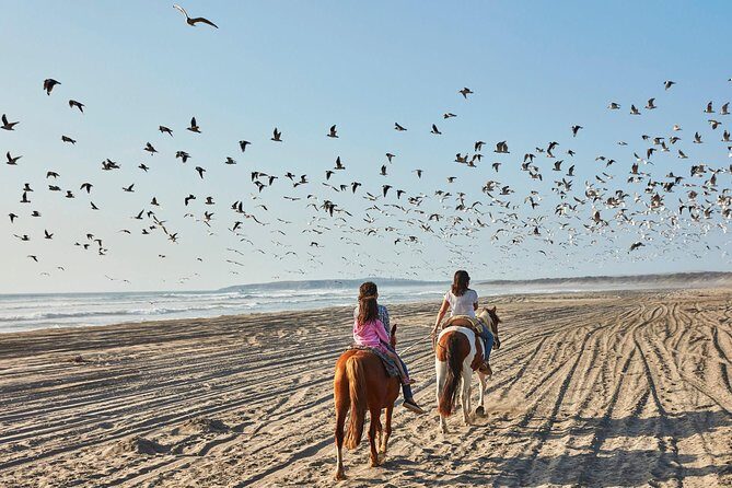 Horse Ride & BARBECUE on Ritoque Beach&Sand Dunes FROM VALPARAISO - Who Will Love This Tour?