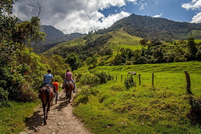Horse ride in the Mugello (transfer from / to Florence) and Tuscan aperitif - Discover the Gentle Pace of Tuscany: Horseback Ride in Mugello with Tuscan Aperitif