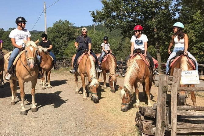Horse ride in the Mugello (transfer from / to Florence) and Tuscan aperitif - Key Points