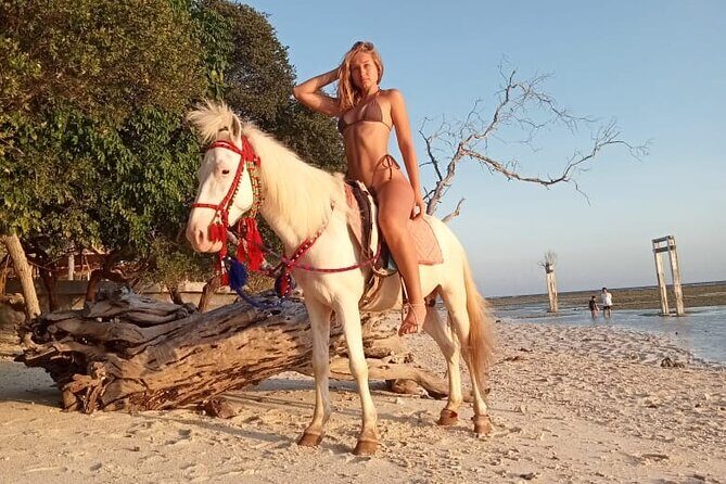 Horse Ride On The Beach Gili Islands - Gili Islands Horse Ride On The Beach: An Authentic Sunset Experience