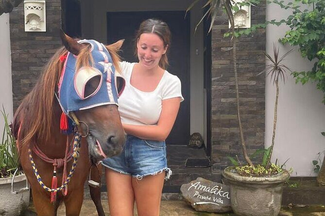 Horse Ride On The Beach Gili Islands - Who Should Consider This Tour?