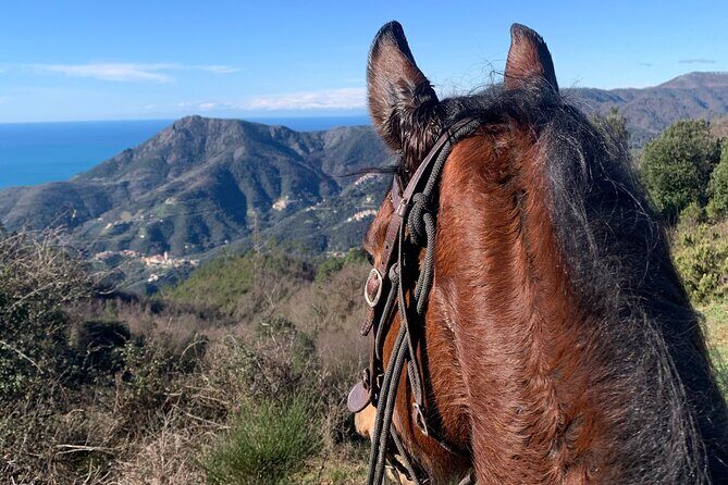 Horse ride on the coast of Monterosso al Mare Cinque Terre - Key Points