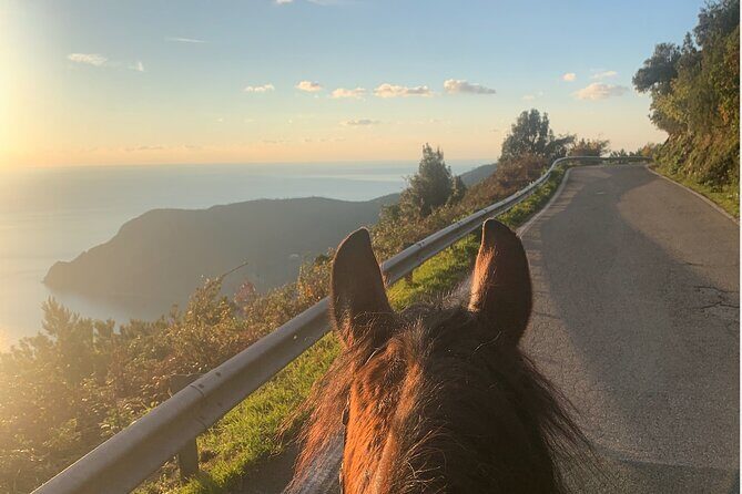 Horse ride on the coast of Monterosso al Mare Cinque Terre - The Experience in Detail: Why It Stands Out