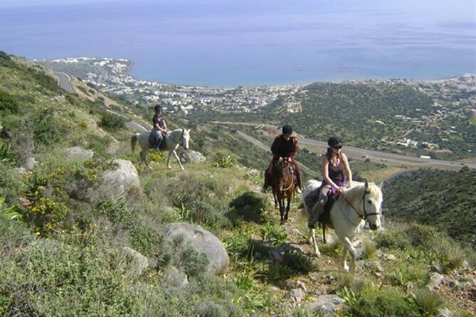 HORSE RIDING 1.5 hours mountains from area Hersonissos CRETE - A Closer Look at the Crete Horse Riding Tour