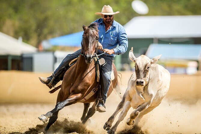 Horse Riding Adventure in the Outback - Horse Riding Adventure in the Outback: An Authentic NT Experience