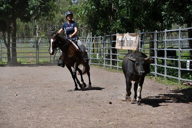 Horse Riding Adventure in the Outback - A Deep Dive: What to Expect on This Outback Horse Riding Tour