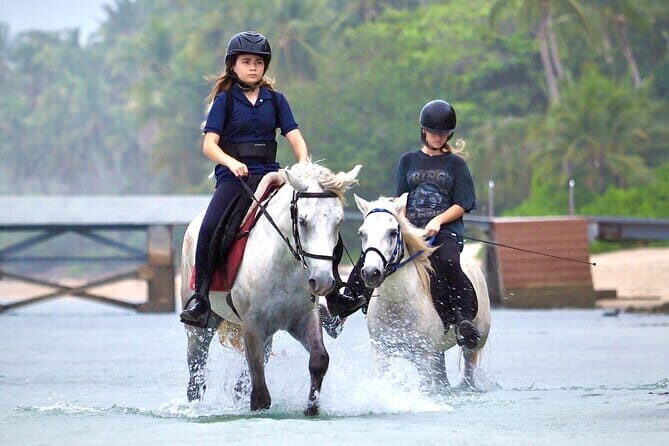 Horse Riding and Beach Trails on Koh Samui - Key Points