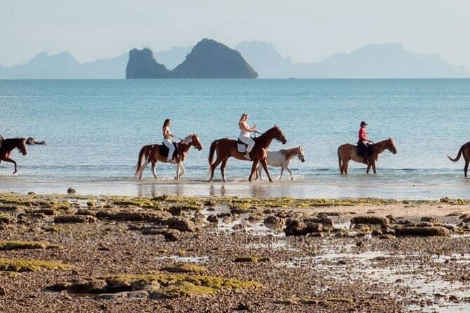 Horse Riding and Beach Trails on Koh Samui - Pricing and Value