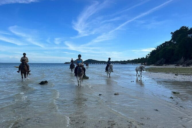 Horse Riding and Beach Trails on Koh Samui - Final Thoughts