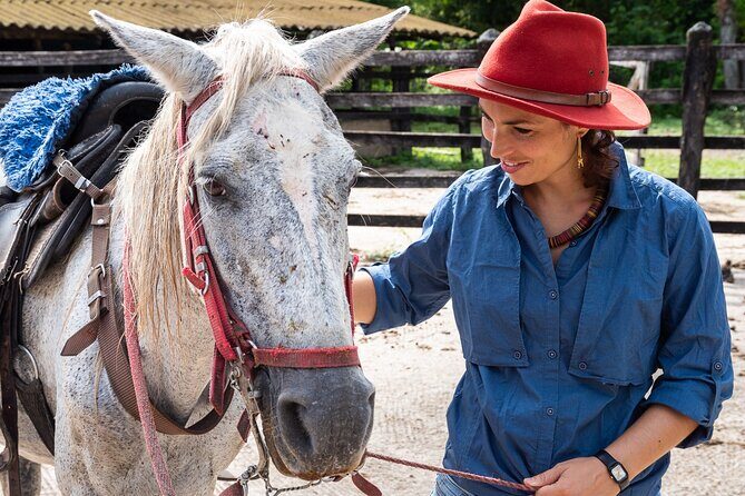 Horse Riding at La Mello Adventure Lodge - A Closer Look at the Horse Riding Experience at La Mello