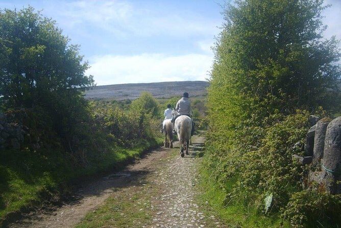 Horse riding - Burren Trail. Lisdoonvarna, Co Clare. Guided. 3 hours. - Exploring the Burren by Horseback: A Deep Dive