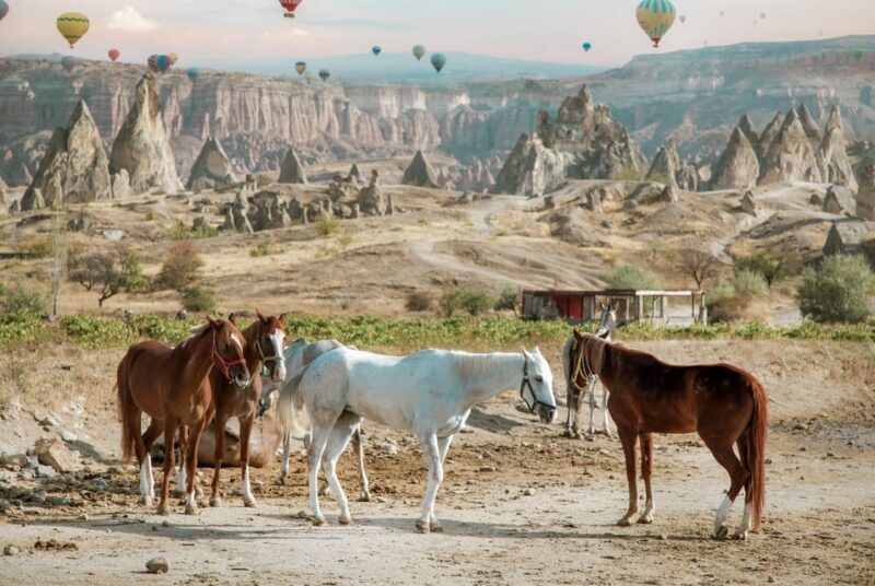 Horse Riding Cappadocia- Cappadocia Horse Farm - Exploring Cappadocia on Horseback: A Genuine Perspective